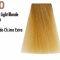 Profesionalna barva NOUVELLE 100ml N10