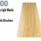 Profesionalna barva NOUVELLE 100ml 900